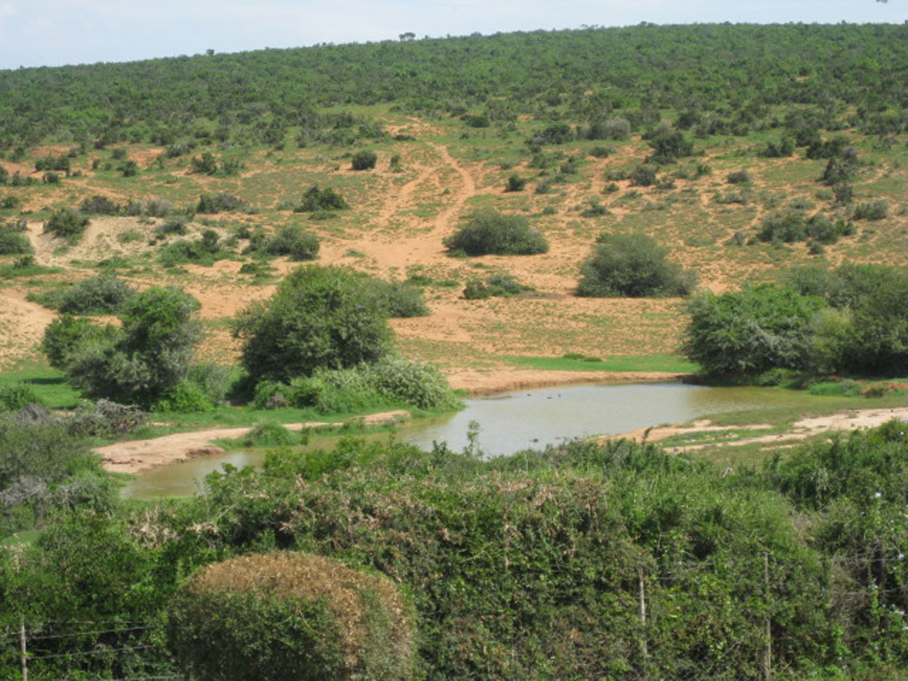 Addo Main Rest Camp, Addo Elephant National Park - Greater Addo Reservations