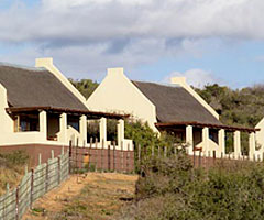 Addo Elephant National Park - Addo Main Rest Camp