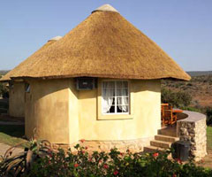 Addo Elephant National Park - Addo Main Rest Camp