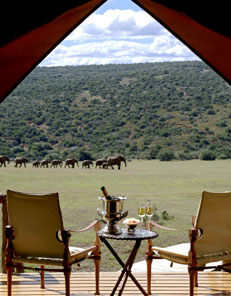 Gorah Elephant Camp - Greater Addo Elephant Park