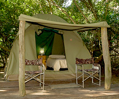 Addo Elephant National Park - Narina Bush Camp