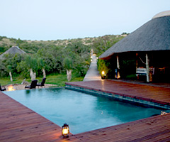 Amakhala Game Reserve - Bukela Lodge