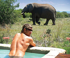 Amakhala Game Reserve - Bush Lodge