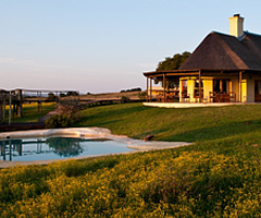 Amakhala Game Reserve - Hlosi Game Lodge