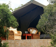 Amakhala Game Reserve - Woodbury Tented Camp