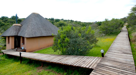 Amakhala Game Reserve - Bukela Lodge
