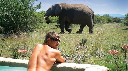 Amakhala Game Reserve - Bush Lodge