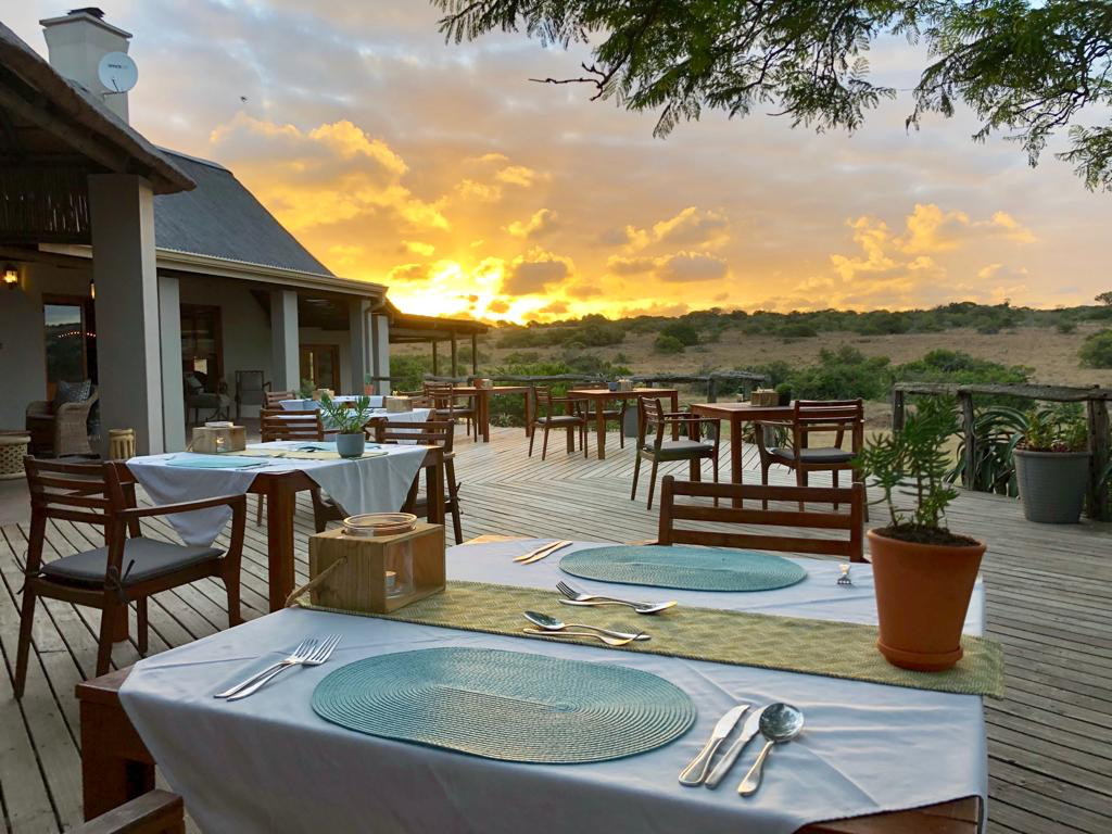 Hlosi Game Lodge - Amakhala Game Reserve