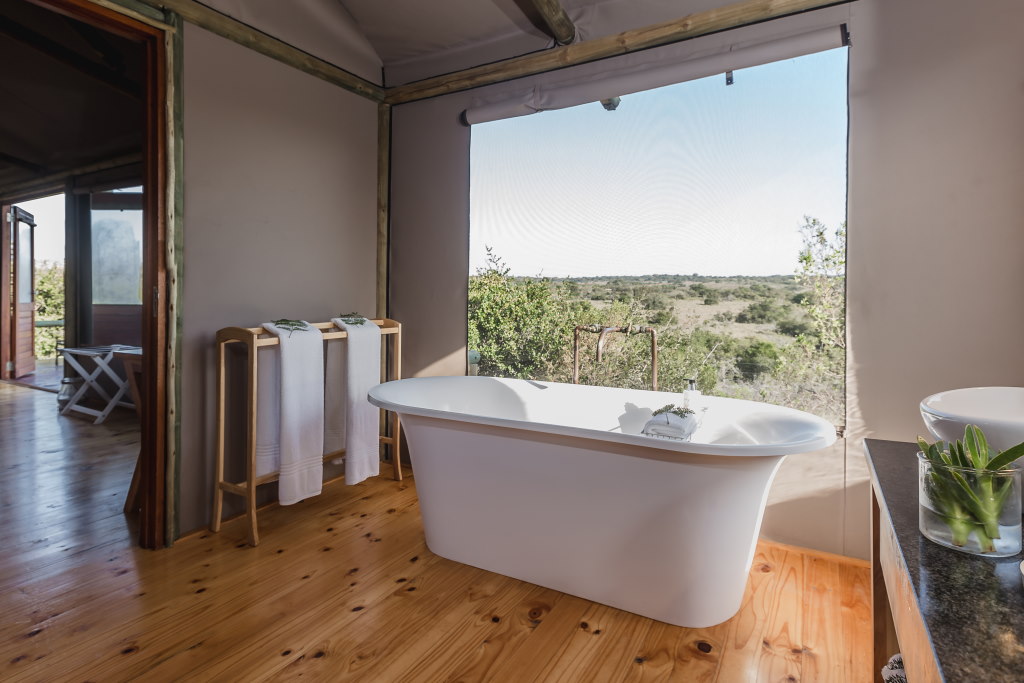 Hlosi Game Lodge - Amakhala Game Reserve