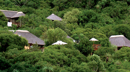 Amakhala Game Reserve - Woodbury Lodge