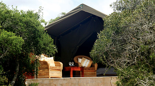 Amakhala Game Reserve - Woodbury Tented Camp