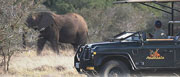 Game Drives