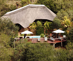 Lentaba Safari Lodge - Lalibela Game Reserve, Eastern Cape