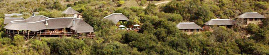 Lentaba Safari Lodge - Lalibela Game Reserve, Eastern Cape