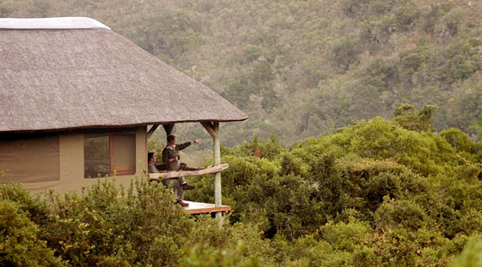 Lalibela Game Reserve, Eastern Cape