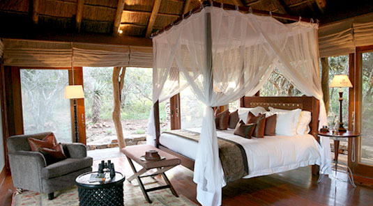 Msenge Bush Lodge - Pumba Private Game Reserve