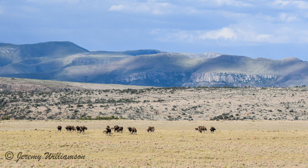 Samara Private Game Reserve