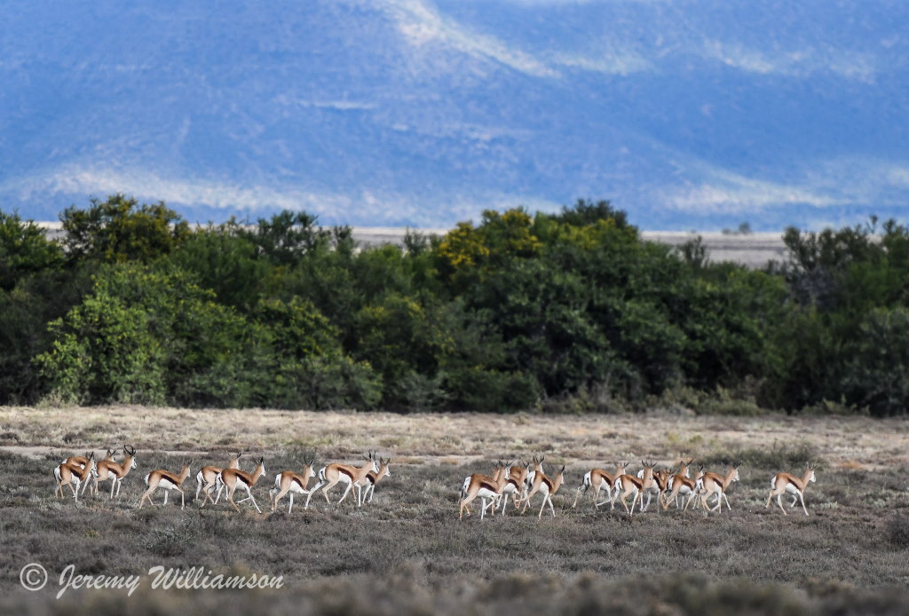 Samara Private Game Reserve