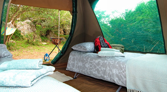 Shamwari Explorer Camp - Shamwari Game Reserve