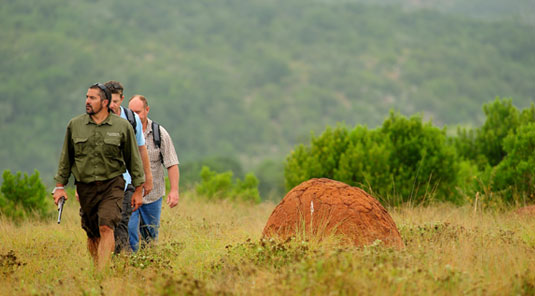 Shamwari Explorer Camp - Shamwari Game Reserve