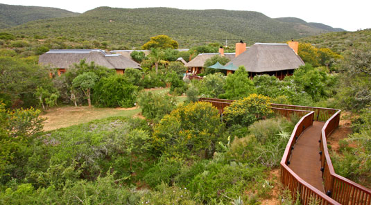 Shamwari Game Reserve, Eastern Cape