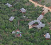 Aeral view of Tree Tops